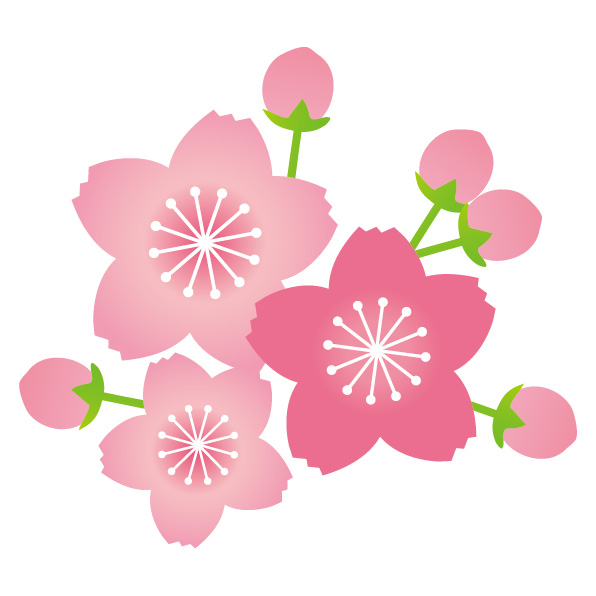 春！ご兄弟様からのご連絡が増えています。