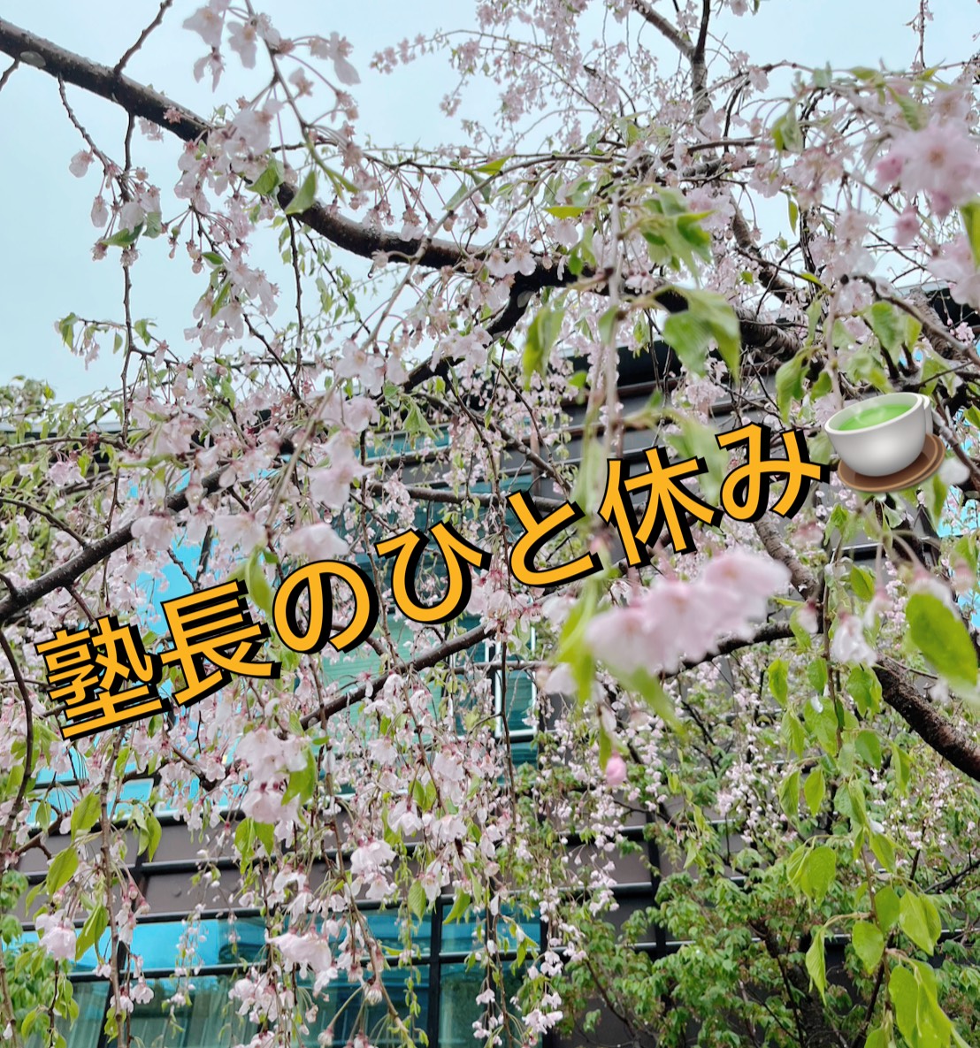 『塾長のひと休み🍵』百聞は一見に如かず！