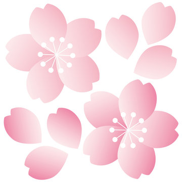 冬期講習から初めてみませんか？